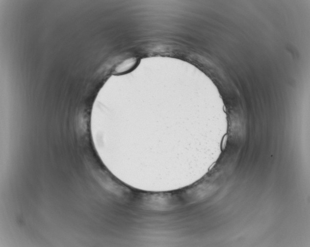 X0000110730282200907241233