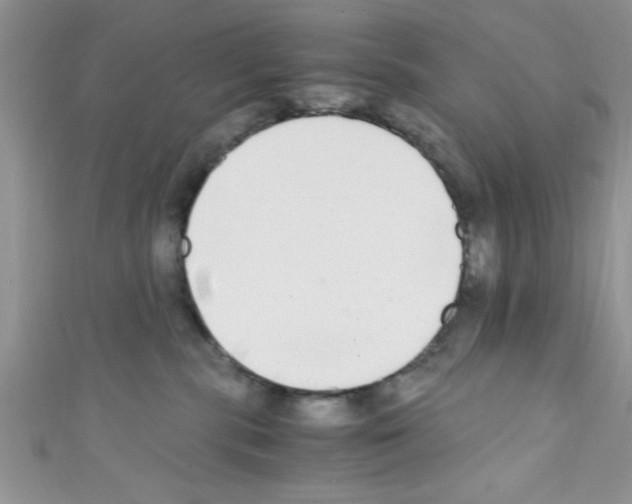 X0000110730283200907241233