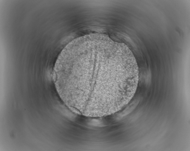 X0000110730285200907241233