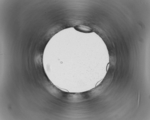 X0000110730286200907241233
