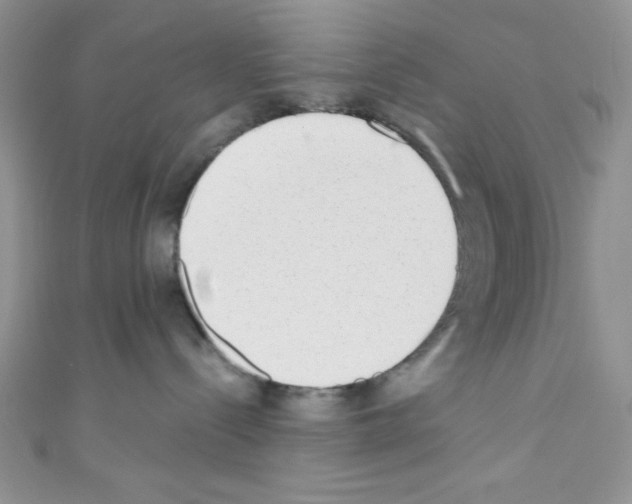 X0000110730288200907241233