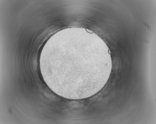 X0000110730290200907241233