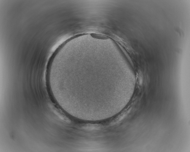 X0000110730292200907241233