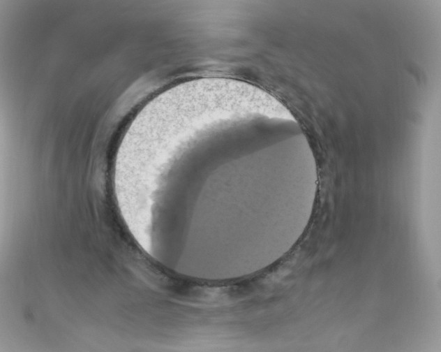 X0000110730295200907241233