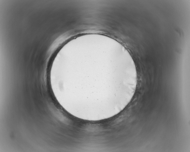 X0000110730296200907241233