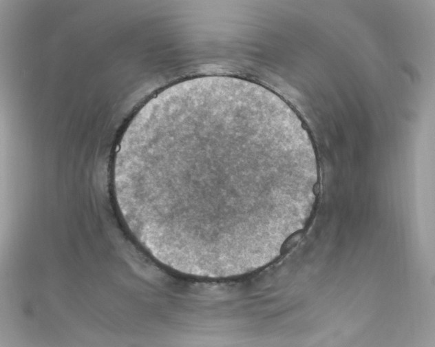 X0000110730297200907241233