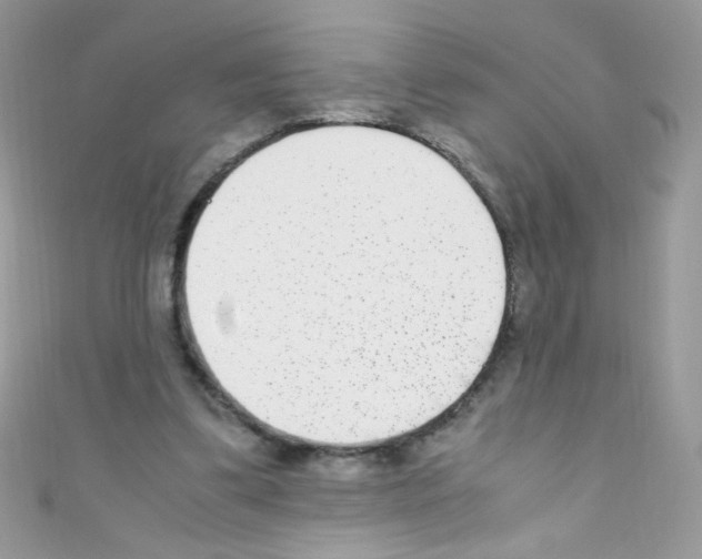 X0000110730299200907241233