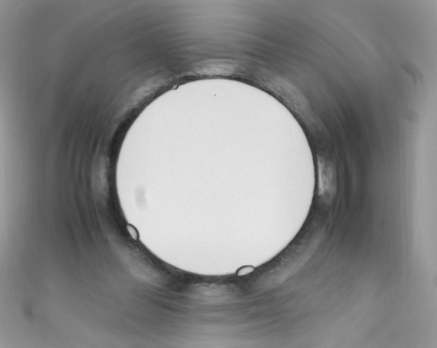 X0000110730300200907241233