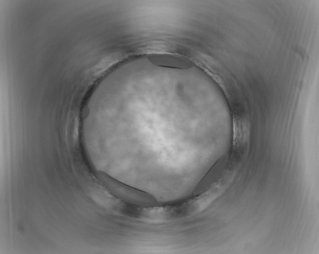X0000110730301200907241233