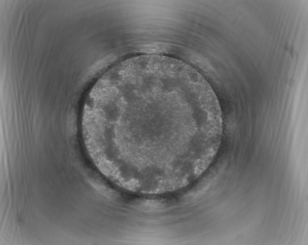 X0000110730303200907241233
