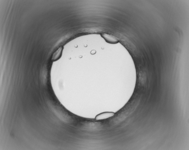 X0000110730304200907241233