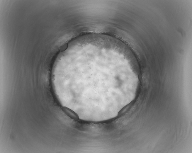X0000110730305200907241232
