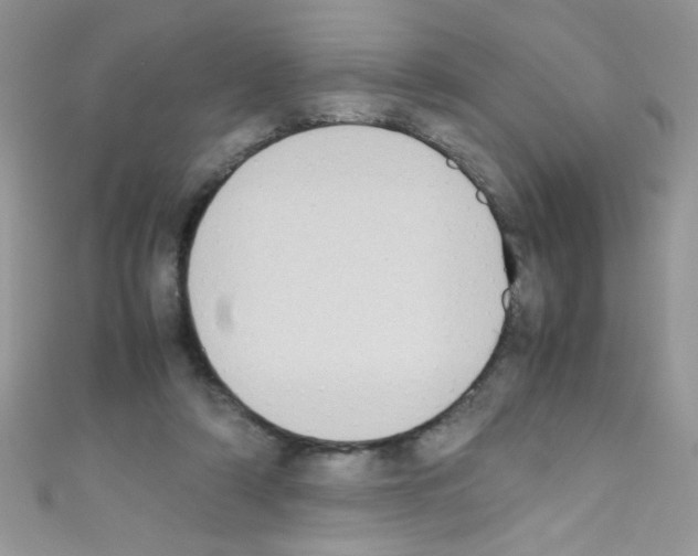 X0000110730306200907241232