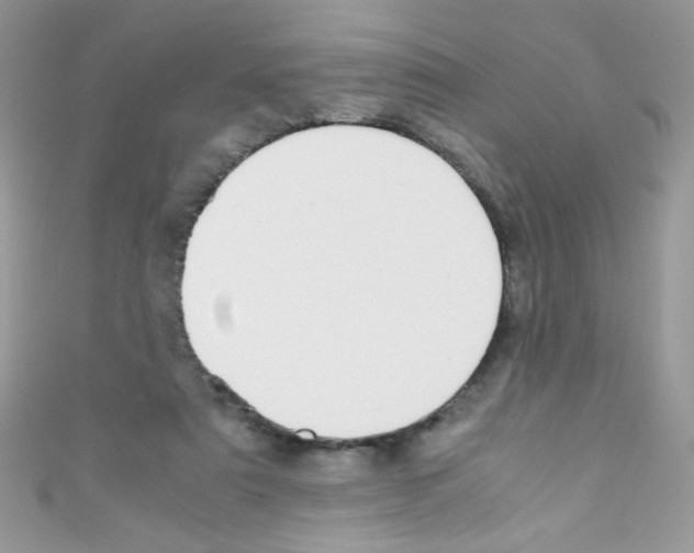 X0000110730307200907241232