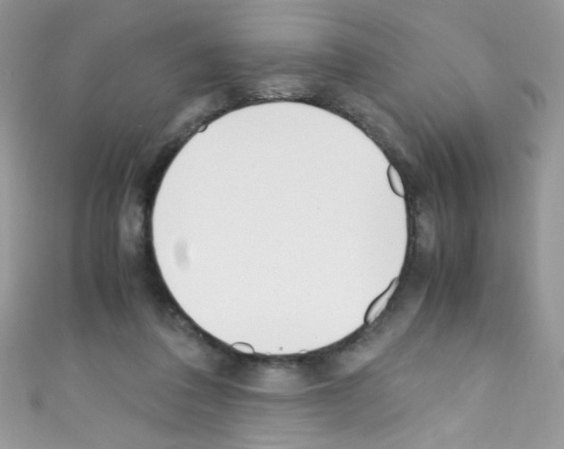 X0000110730308200907241232