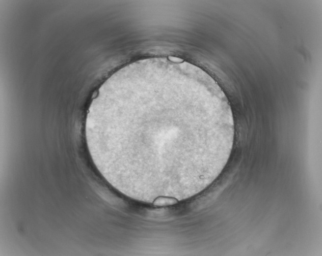 X0000110730309200907241232
