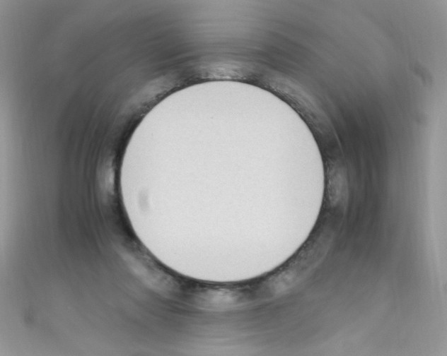 X0000110730310200907241232