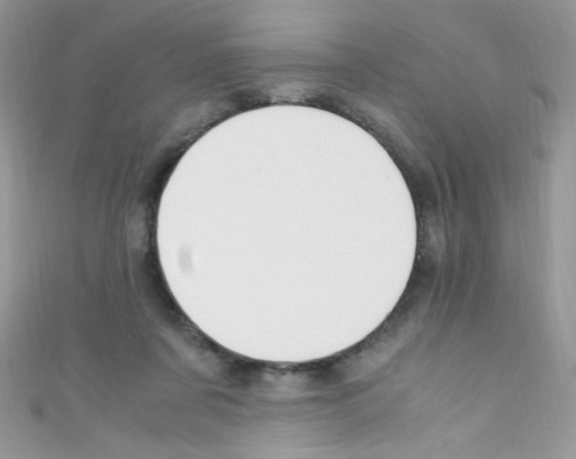 X0000110730311200907241232