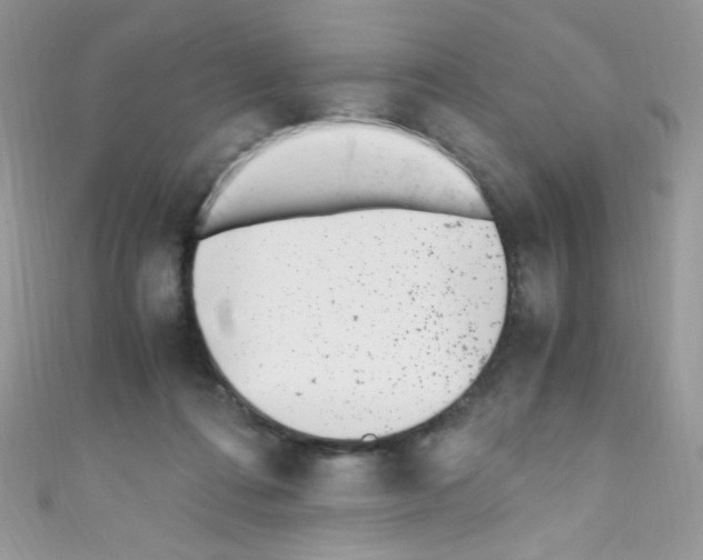 X0000110730312200907241232
