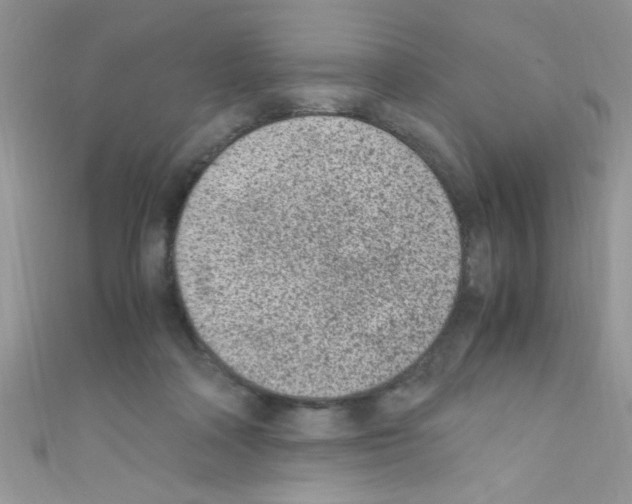 X0000110730314200907241232