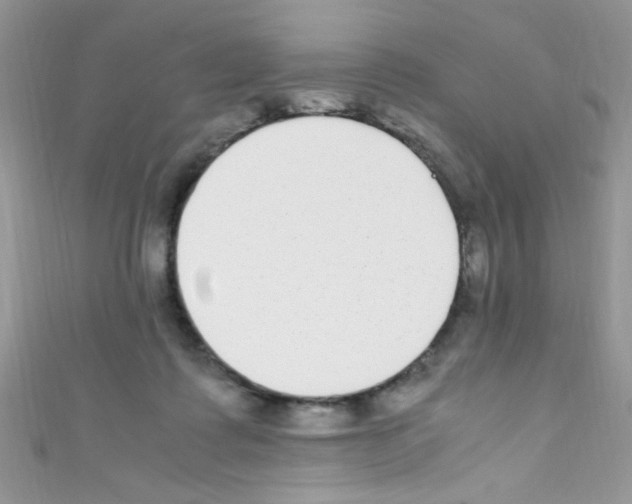 X0000110730315200907241232