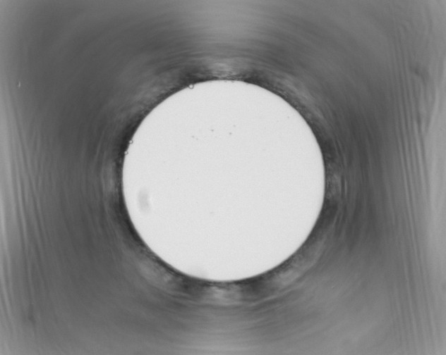 X0000110730317200907241232