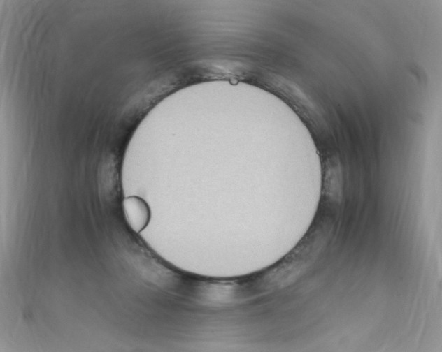 X0000110730318200907241232