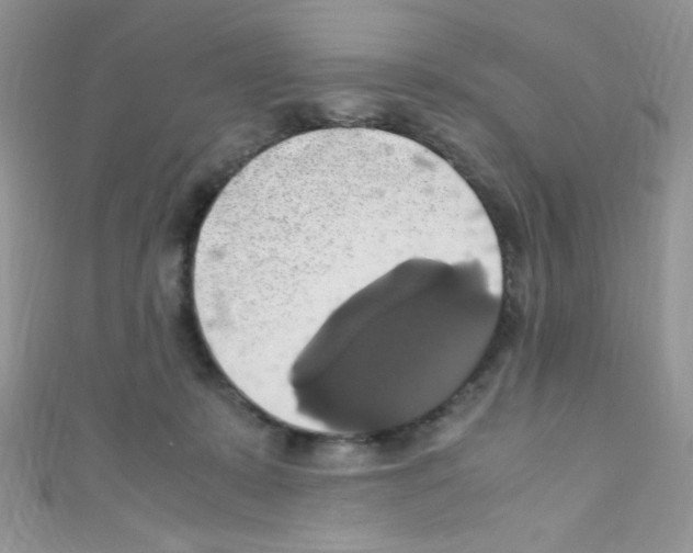 X0000110730319200907241232