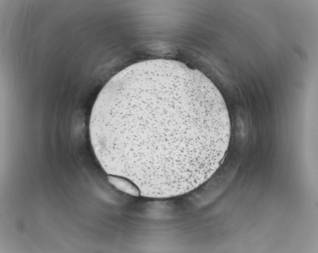 X0000110730320200907241232