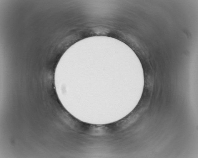 X0000110730321200907241232