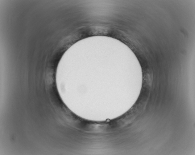 X0000110730323200907241232