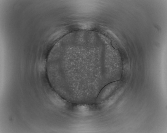 X0000110730325200907241232