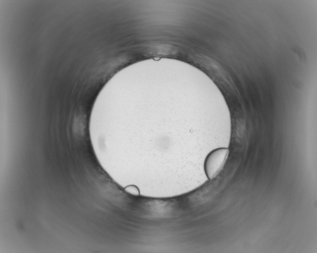 X0000110730326200907241232