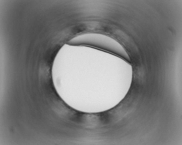 X0000110730327200907241232