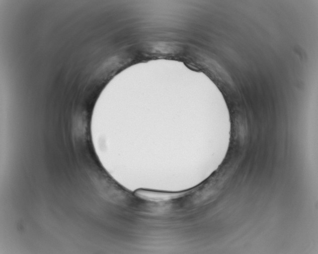 X0000110730328200907241232