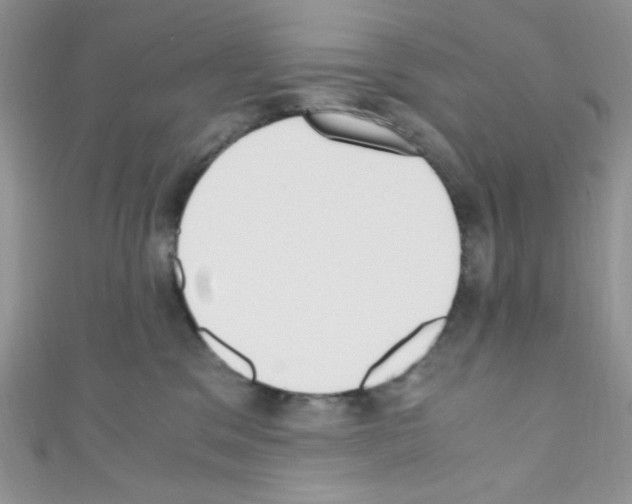 X0000110730329200907241232