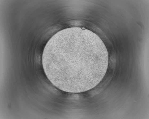 X0000110730330200907241232