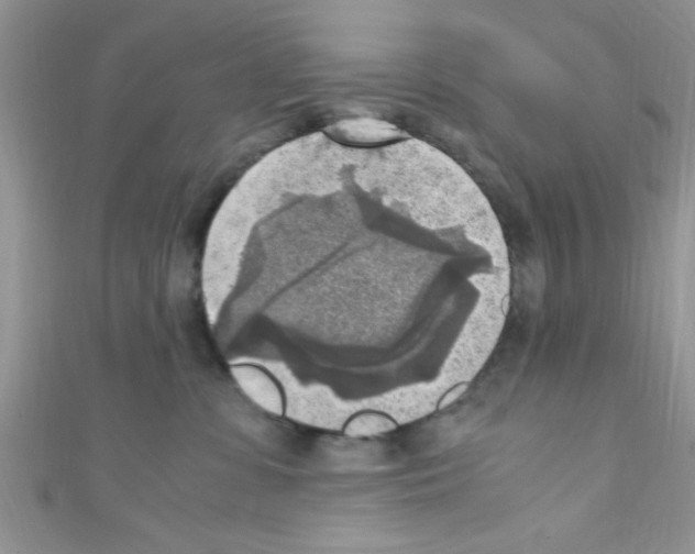 X0000110730331200907241232