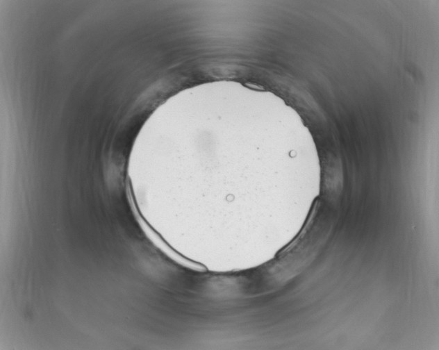 X0000110730332200907241232