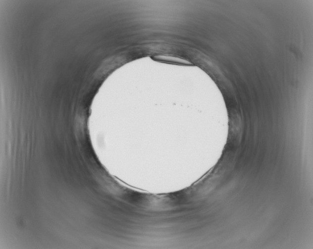 X0000110730333200907241232