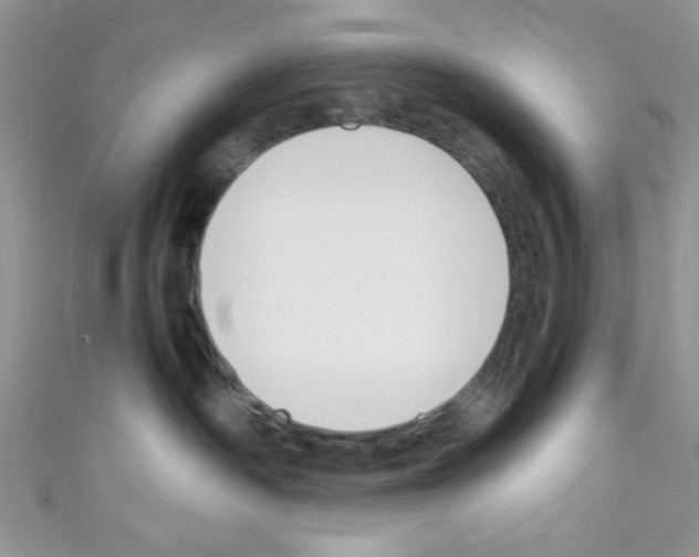 X0000110730334200907241232