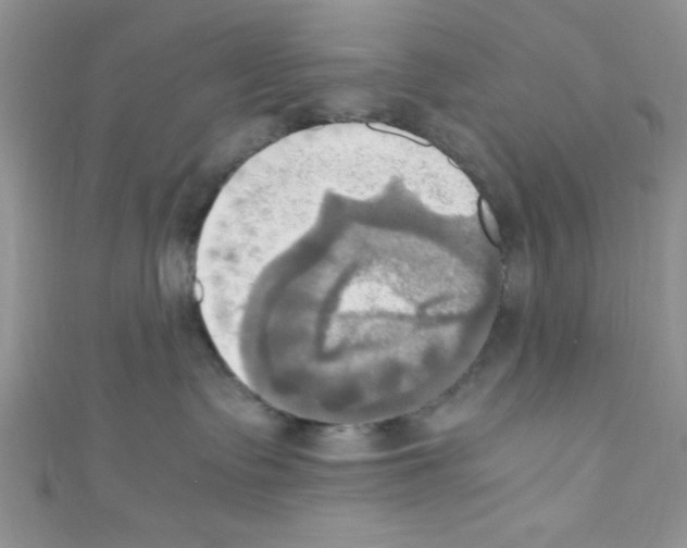 X0000110730335200907241232