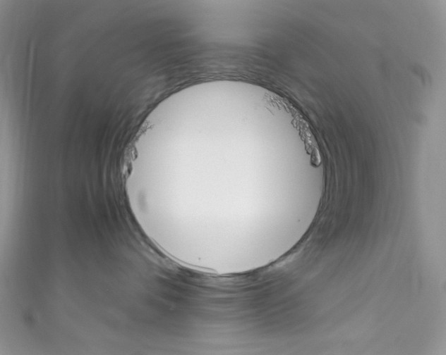 X0000110730336200907241232