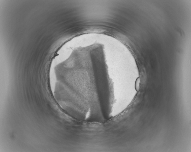 X0000110730337200907241231