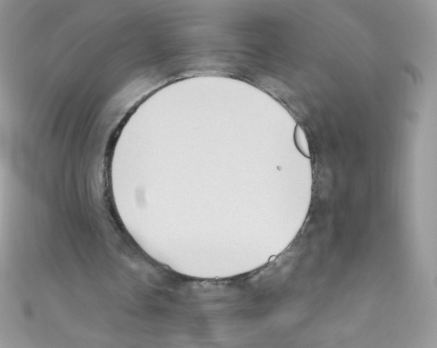 X0000110730338200907241231