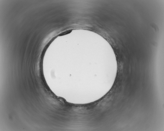 X0000110730340200907241232