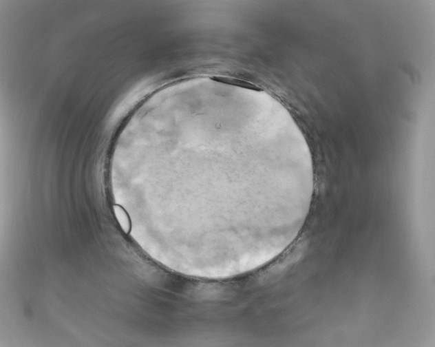 X0000110730341200907241232