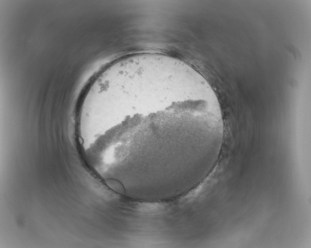 X0000110730342200907241232