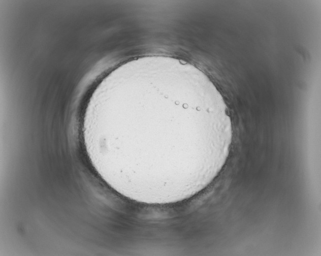 X0000110730343200907241232