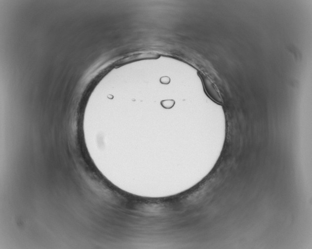 X0000110730344200907241232